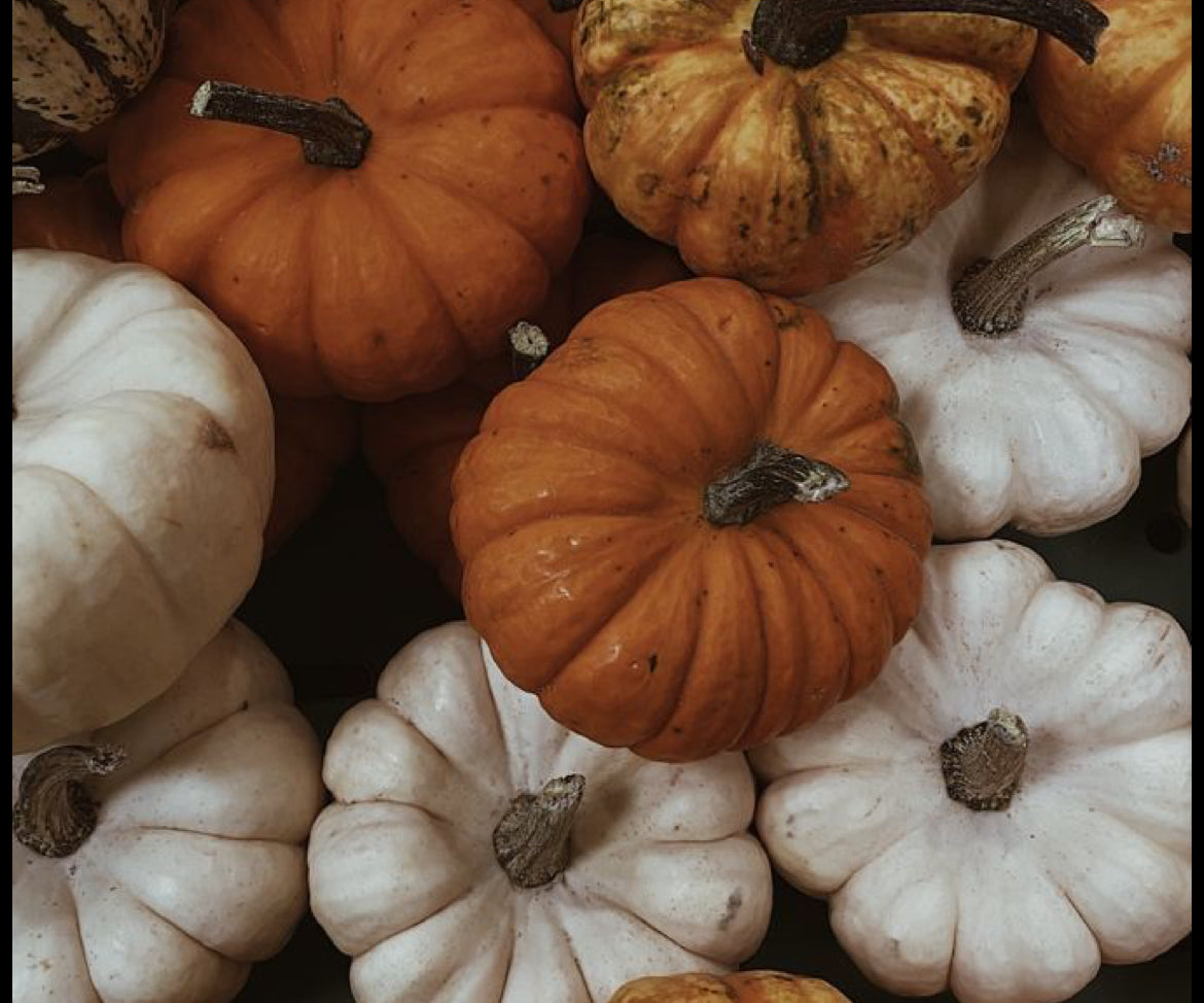 🍂 Collection Automne 2025 🍂