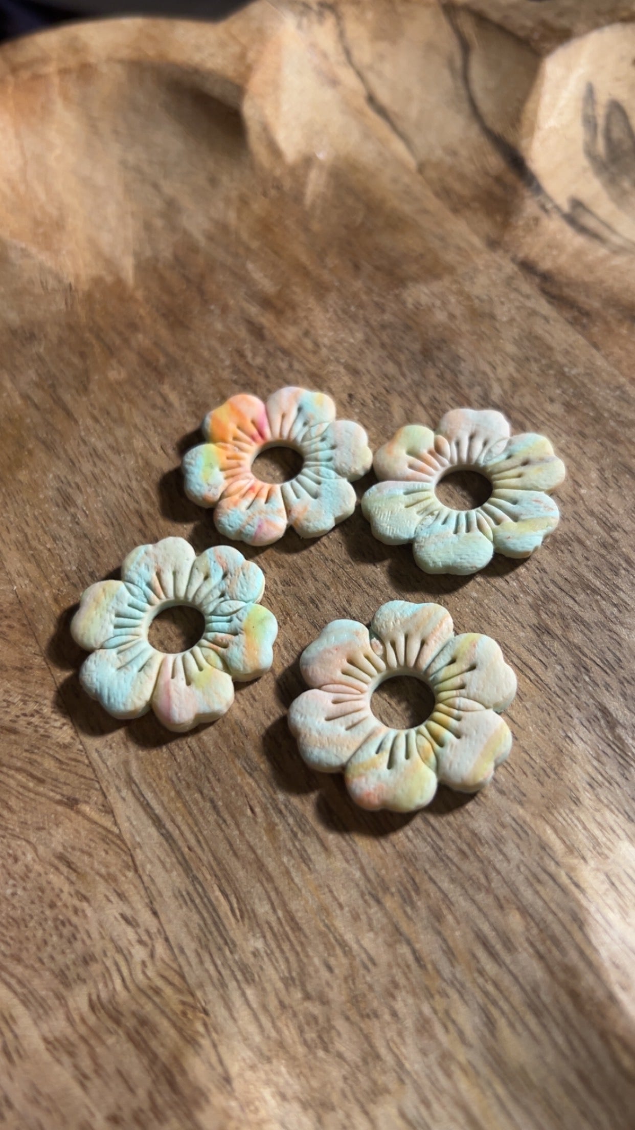 Josefa multicolore