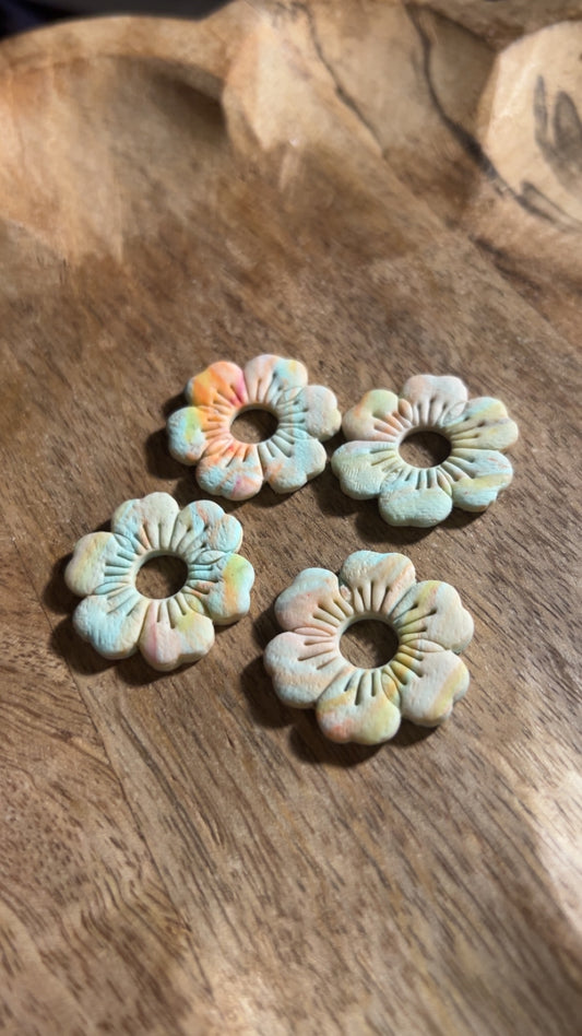 Josefa multicolore